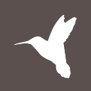 Photo of Savvy Services