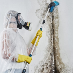 Photo of Moisture Master Pros