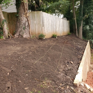 Photo of Landscape 4 Life