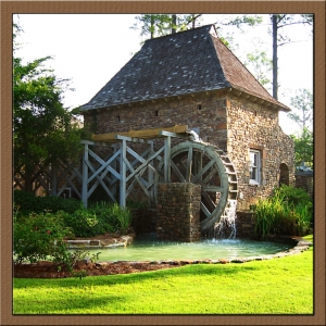 Photo of Orkin Property Management