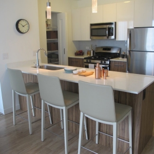 Photo of Chicago Rentals - Properties