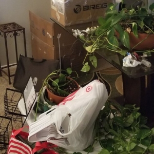 Photo of EZ Movers