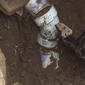 Photo of Pipe Doctors