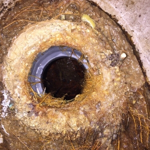 Photo of Pipe Doctors
