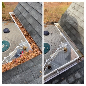 Photo of MD Pro Services