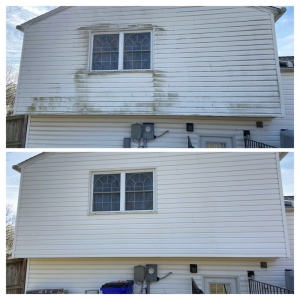 Photo of MD Pro Services