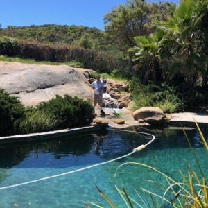 Photo of Mike Fowler's Pool Service