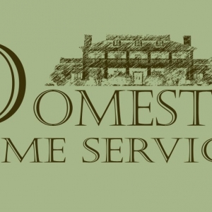 Photo of Domestic Home Services LLC