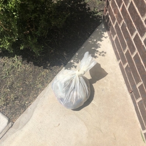 Photo of Austin's Maid Service