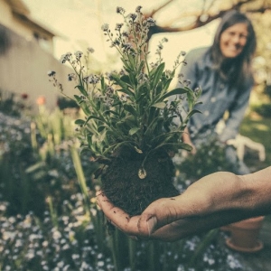 Photo of Gan Eden Landscaping