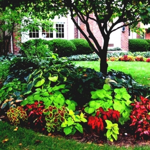 Photo of Gan Eden Landscaping
