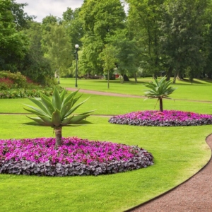 Photo of Gan Eden Landscaping