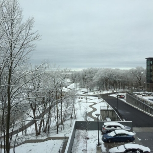 Photo of The Island Residences at Carlson Center Apartments