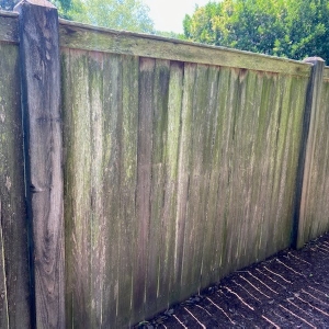 Photo of Pressure Washing USA