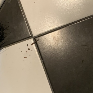Photo of Unique Cleaning Solutions