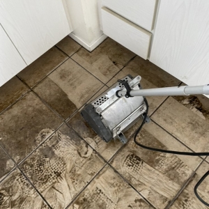 Photo of Silver Olas Carpet Tile Flood Cleaning