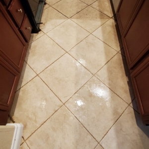 Photo of Silver Olas Carpet Tile Flood Cleaning