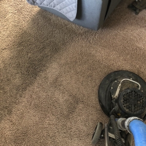 Photo of Silver Olas Carpet Tile Flood Cleaning