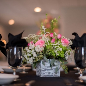 Photo of Sapphire Hills Event Center
