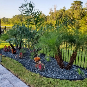 Jacksonville Holiday's Nursery & Landscaping