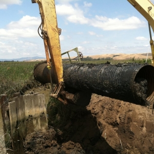 Fairfield Wetland Construction