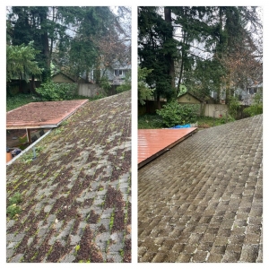Vancouver MCA Pressure Washing