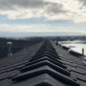Everett Roof Warriors