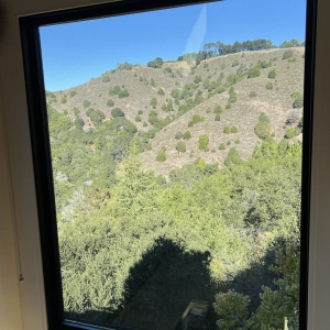 Photo of A-Taylor Made Window