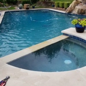 Dallas Guardian Pool Chemical