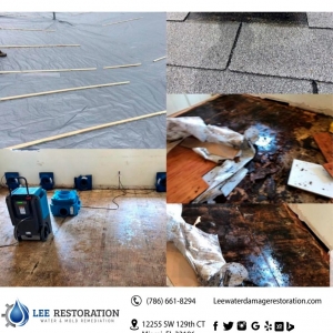 Photo of Lee Restoration
