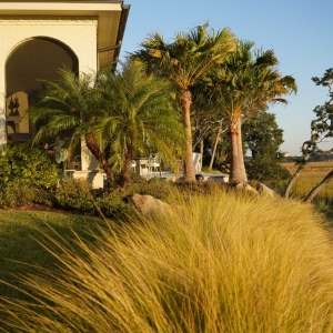 Photo of Beautiful Blooms Landscaping