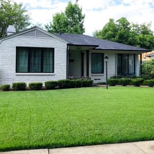 Photo of EcoMow Lawn & Landscape