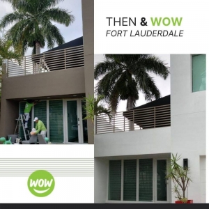 Photo of WOW 1 DAY PAINTING Miami