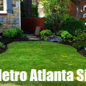 Atlanta Blay'z Turf Pro