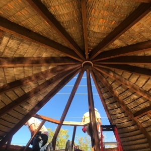 Photo of My Thatch Roof