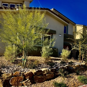 Photo of TreeLine Landscape Services