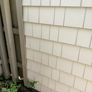 Photo of Coastal Pressure Washing Services