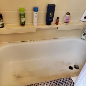 Photo of Nice Clean Home