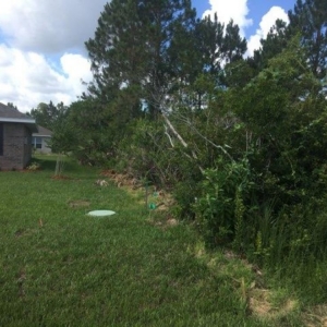 Photo of Manniel's Bobcat & Land Clearing