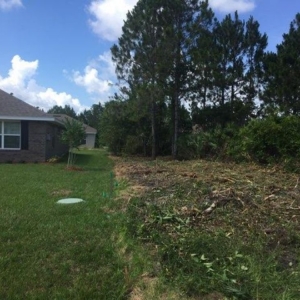 Photo of Manniel's Bobcat & Land Clearing