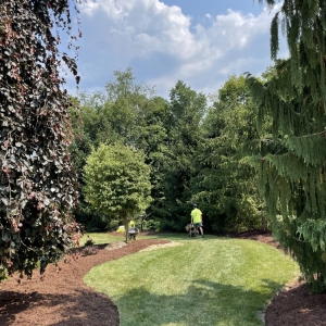 Pittsburgh Authority Lawn & Landscape