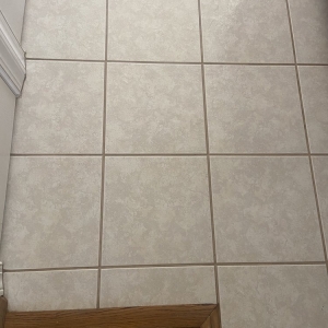 Photo of Steem Master Carpet Cleaner