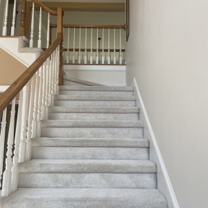 Photo of Steem Master Carpet Cleaner