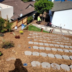 Photo of SimpleScape Lawn & Garden Maintenance