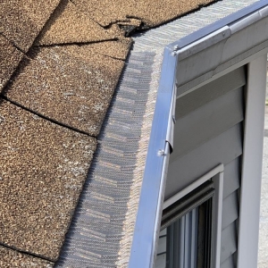 Photo of Super Gutter Brothers