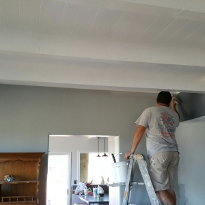 Ramona Premium Pro Painting