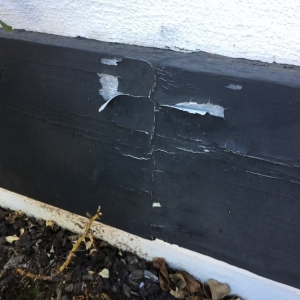 Photo of Premium Pro Painting