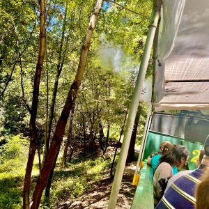 Photo of Roaring Camp Railroads