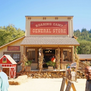 Photo of Roaring Camp Railroads