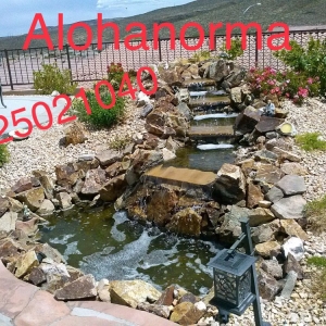 Photo of Landscaping Aloha Norma
